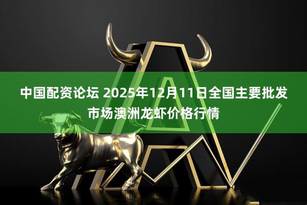 中国配资论坛 2025年12月11日全国主要批发市场澳洲龙虾价格行情