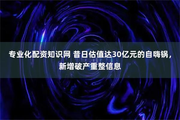 专业化配资知识网 昔日估值达30亿元的自嗨锅，新增破产重整信息