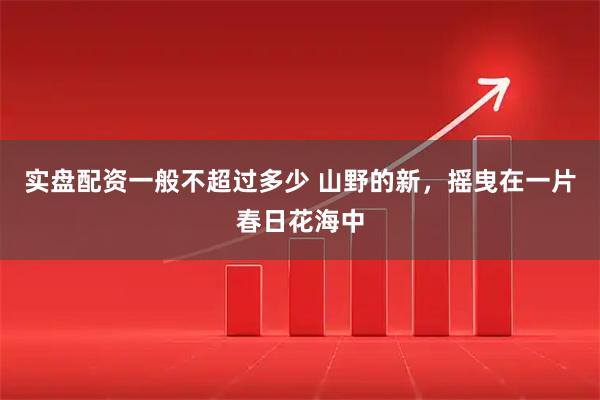 实盘配资一般不超过多少 山野的新，摇曳在一片春日花海中